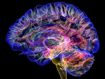 想色就去操大脑植入物有助于严重头部损伤恢复
